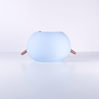 A light blue, rounded, egg-shaped device with small brown legs, photographed on a clean white studio background.